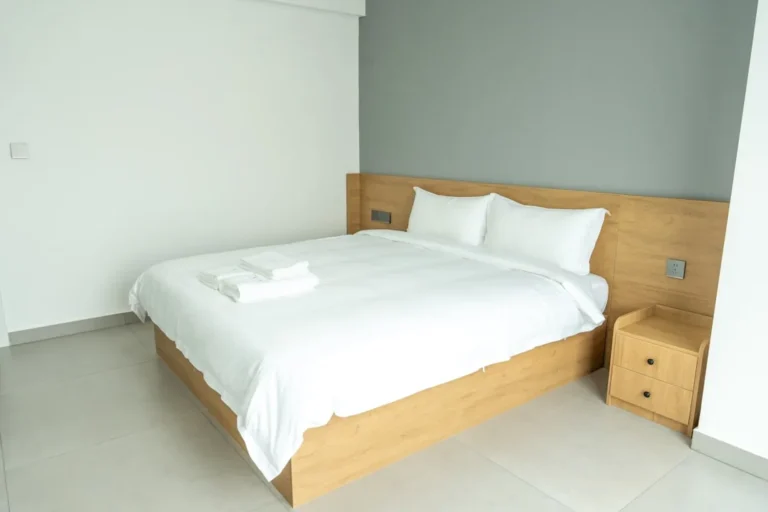 Punaise de lit matelas