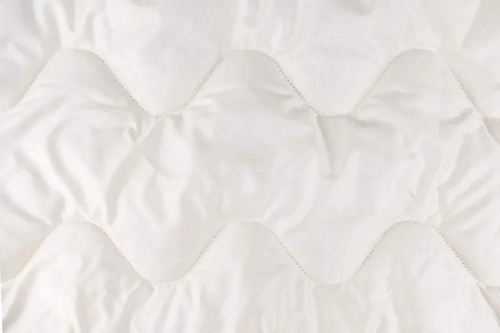 Housse anti-punaise de lit