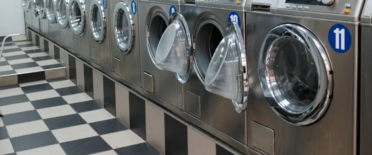 Punaise de lit machine à laver
