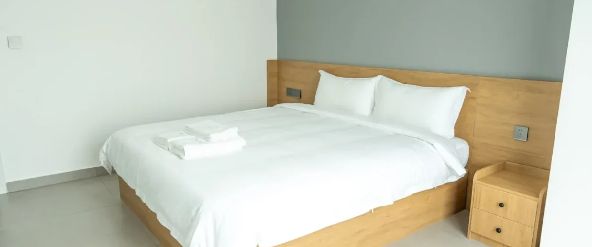 Punaise de lit matelas