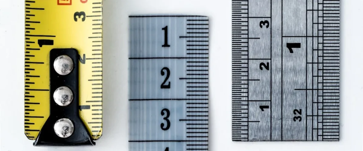 Taille d'une punaise de lit