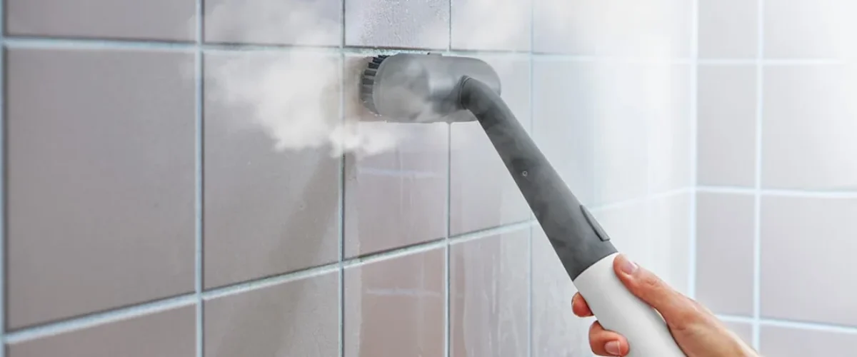 Nettoyeur vapeur punaise de lit